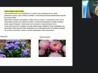 Международный вебинар "Выполнение вспомогательных работ по посадке декоративных цветочных растений"