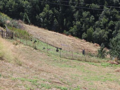 Остатки кладбища