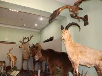 Краснодарский государственный историко-археологический музей-заповедник им. Е. Д. Фелицына