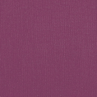 Бумага для пастели "Палаццо" 70x100 см 160 г ежевичный