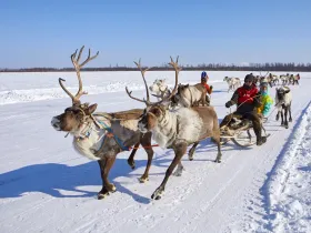 Эвенки из Якутии отпраздновали День оленевода в Забайкалье