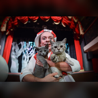 Котобум. Дмитрий Куклачёв