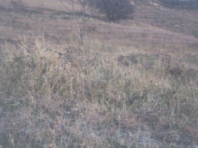 Памятник в честь основания станицы Ахметовской в 1861 г., когда на горе Шахан был установлен пикет