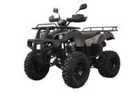 Квадроцикл UNIVERSAL Avenger 250 Mechanics