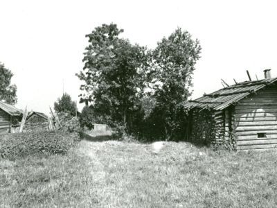 Крестьянская усадьба  А.Ф. Плюсниной