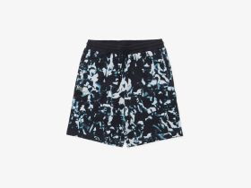 Мужские шорты Lacoste из хлопка