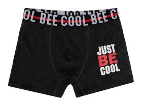 Трусы - боксеры, 3 шт. в комплекте для мальчика