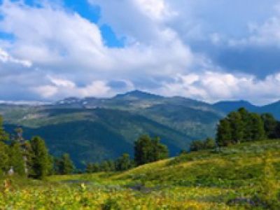 Мой край родной – моя история живая. Интеллектуальная программа