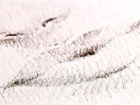 Альбом с тонированной бумагой "Fabriano" 21х29,7 см 50 л 120 г, цвет мох