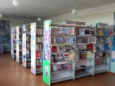 Данилкинский библиотечный филиал № 7