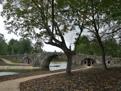 Ансамбль усадьбы Львовых-Цвилёва "Василёво"