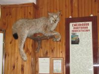 Исетский народный краеведческий музей им. А. Л. Емельянова