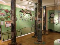 Музей Енисея