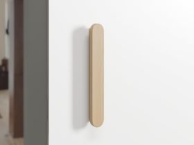 Шкаф-купе Бладвен 3-180x210 Белый