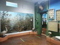 Музей природы Восточного Приазовья