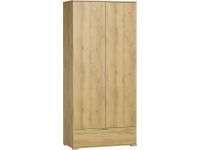 Распашной шкаф Стелла 2.1-100x240 Дуб Золотистый