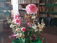 Бакочинская сельская библиотека