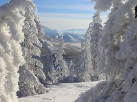 Арктическая автоэкспедиция "Индигирка". Якутск – Оймякон – Чокурдах – Русское Устье