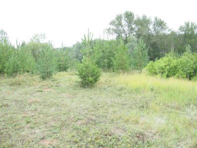 Обелиск Герою Советского Союза Шамшурину, погибшему в борьбе с немецкими захватчиками во время Отечественной войны