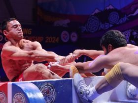 Итоги VI Чемпионата мира по мас-рестлингу среди мужчин и женщин