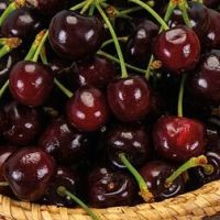 Черешня Речица