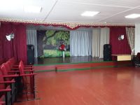 Костенеевский сельский дом культуры