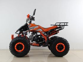 Квадроцикл MOTAX ATV T-Rex Super LUX 50 cc