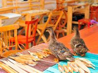 Музей-мастерская древних и традиционных технологий