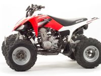 Квадроцикл MOTOLAND 125S (2020 Г.)