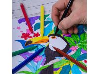 Набор фломастеров Berlingo "Замки" 18 цв., смываемые, картон, европодвес