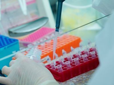 Гинцбург заявил о десятках циркулирующих в России штаммов коронавируса