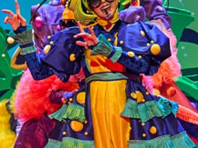 Муха-Цокотуха