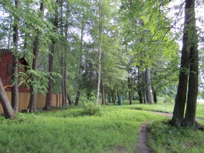 Усадьба Половцева. Парк