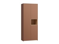 Распашной шкаф Висмар 2-103x240 Терракотовый