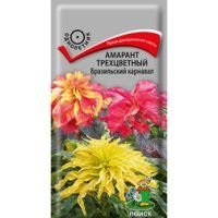 Амарант трехцветный Бразильский карнавал