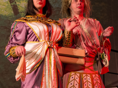 Примадонны