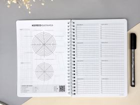Планер ежедневник недатированный DoYourLine "Мрамор", А5, 166 страниц