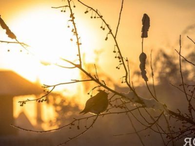 На Солнце произошла самая мощная вспышка за последние шесть лет