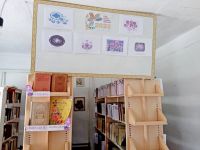 Библиотека с. Аца