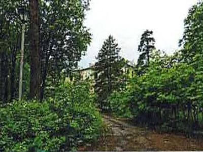 Парк (планировка, композиционные элементы, дендрологический состав)