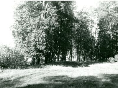 Усадьба «Отрада». Парк