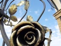 Парк роз г. Строителя