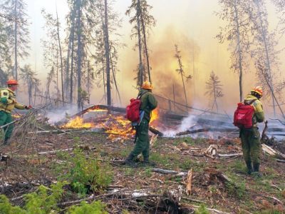 Объявляется набор добровольцев на тушение лесного пожара