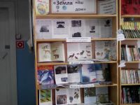 Озерницкая сельская библиотека-филиал