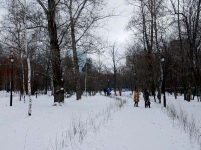 Парк "Березовая роща"