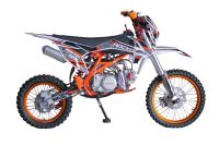 Питбайк ROCKOT Rental 125 Axis