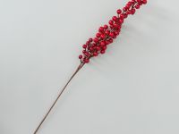 Ветвь Aculeo IV