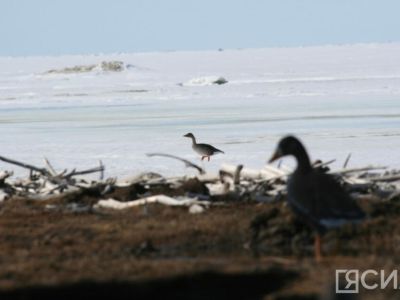 В Якутии стартовали мероприятия ко Дню охотника