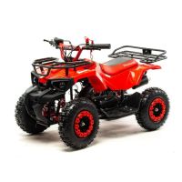 Квадроцикл MOTOLAND 50E Scorpion (2021 Г.)