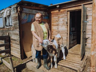 День сайылыка в Якутии: прогулка по летней ферме в Намском улусе